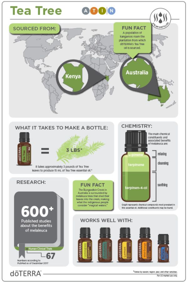 doTERRA Tea Tree (Melaleuca) Essential Oil